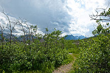 Site 85, St Mary Campground, Glacier national Park, MT