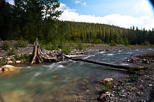 Stream at Running Eagle Falls