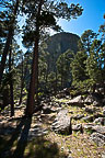 Devils Tower