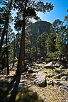 Devils Tower