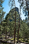 Devils Tower