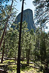 Devils Tower