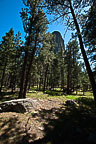 Devils Tower