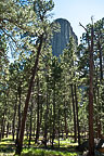 Devils Tower