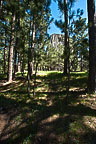 Devils Tower