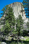 Devils Tower