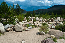 The Alluvial Fan