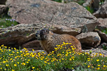 Rocky Mountain National Park