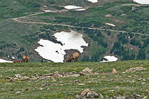 Rocky Mountain National Park