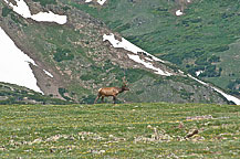 Rocky Mountain National Park