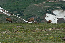 Rocky Mountain National Park