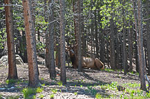 Rocky Mountain National Park