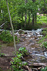 A Stream at Wild Basin