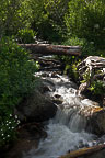 A Stream at Wild Basin