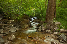 Hanging Lake Trail