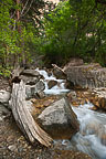 Hanging Lake Trail