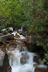 Hanging Lake Trail