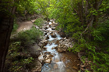 Hanging Lake Trail