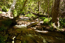 Hanging Lake Trail