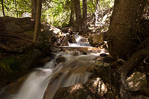 Hanging Lake Trail