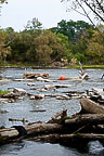 Oswego River 2011