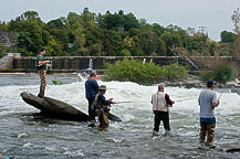 Oswego River 2011