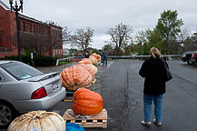 20th CNY Pumpkin Festival 2011