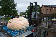 20th CNY Pumpkin Festival 2011