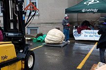 20th CNY Pumpkin Festival 2011