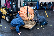 20th CNY Pumpkin Festival 2011