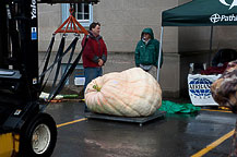 20th CNY Pumpkin Festival 2011