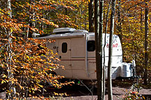 Site 105, Ricketts Glen State Park, PA