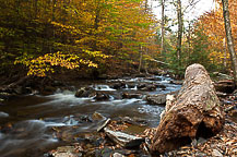 Ricketts Glen State Park, PA