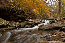 Ricketts Glen State Park, PA