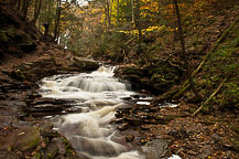 Ricketts Glen, PA