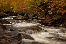 Ricketts Glen, PA