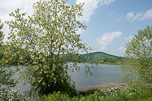 Stonewall Resort, Roanoke, WV, Site 7