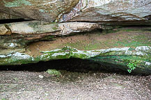 Cave Spring, Natchez Trace