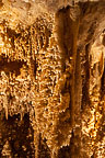 Caverns of Sonora