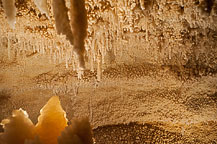 Caverns of Sonora