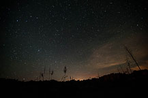 Stars at City of Rocks, NM