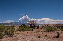 Wildfire