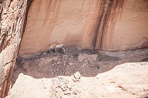 Canyon de Chelly