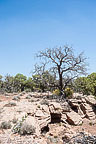 Canyon de Chelly