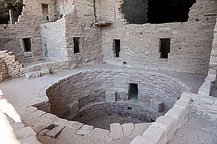Spruce Tree House
