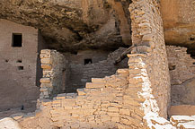 Spruce Tree House