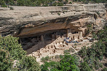 Spruce Tree House