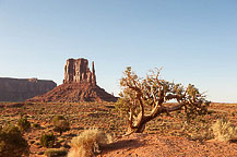 Monument Valley, AZ