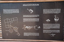 Mule Canyon Ruin Exhibit