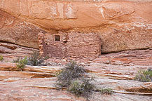 Along Mule Canyon Trail
